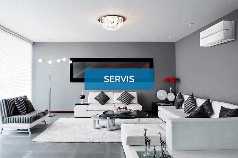 SERVIS