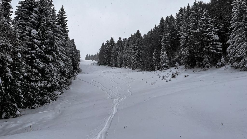 Aufstieg und Abfahrt