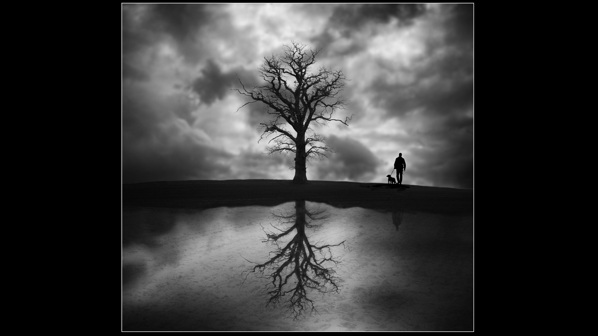 2nd Place: The Dog Walker (Malcolm Harris)