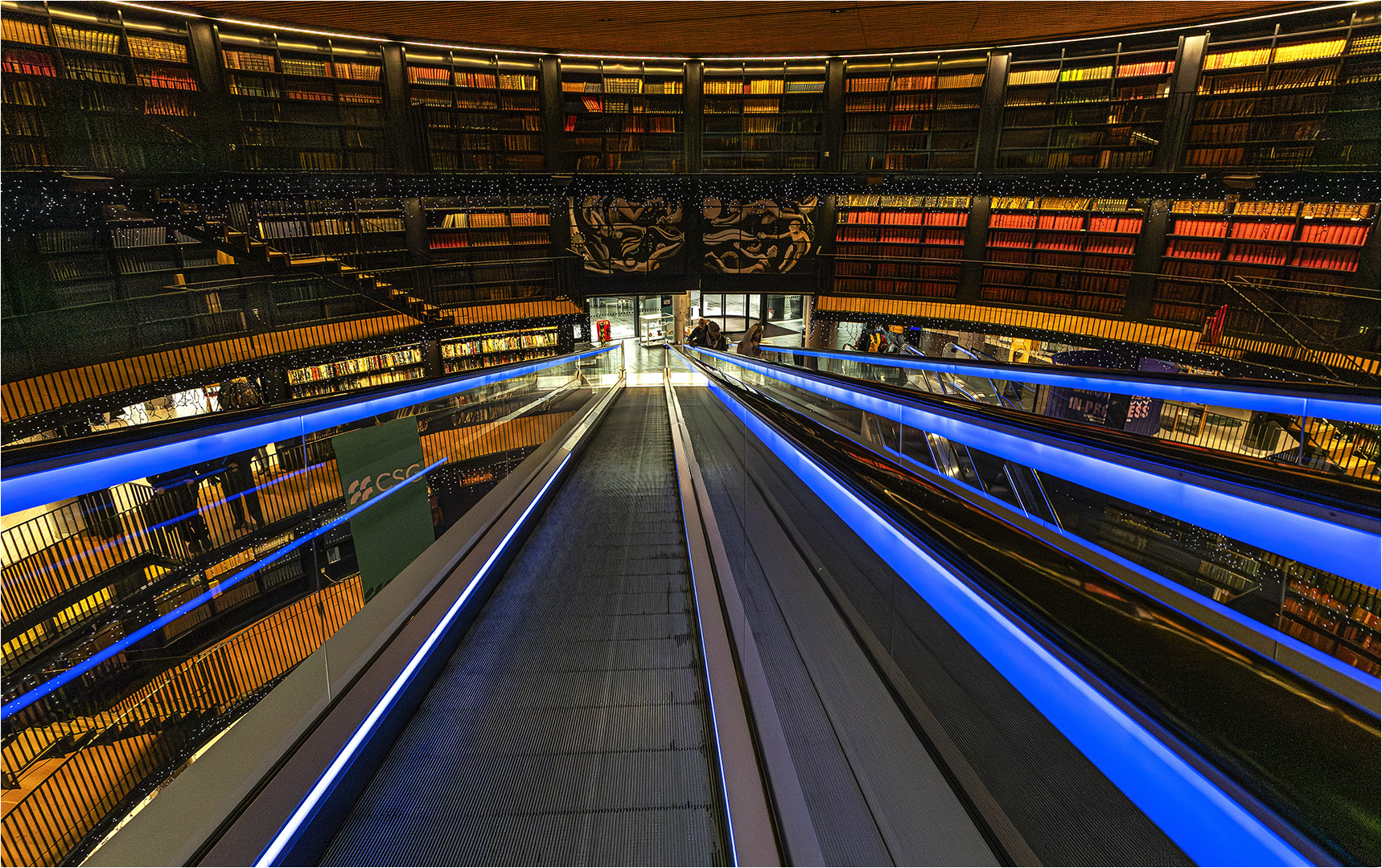 Commended: The Library (Roger Paxton)