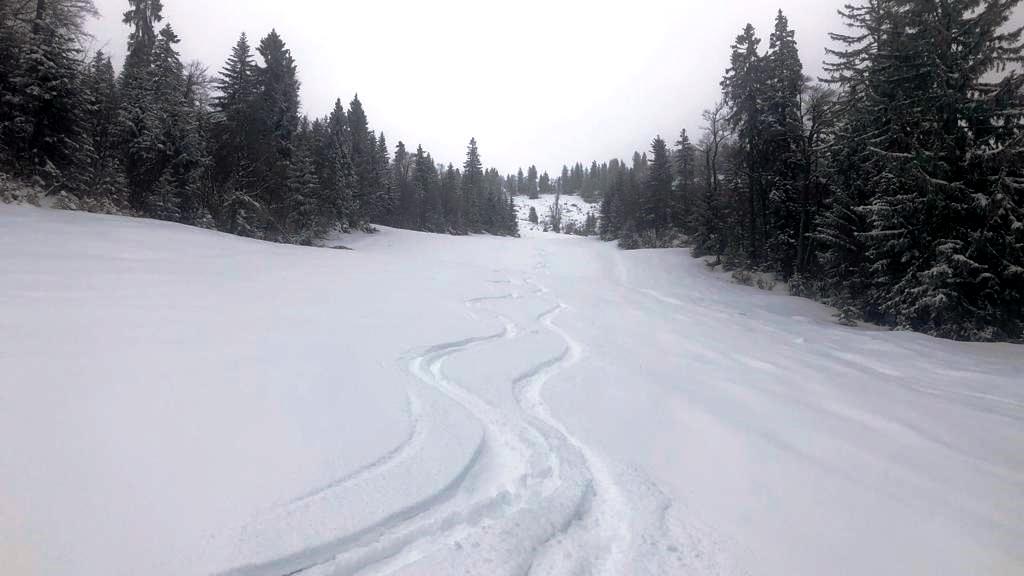 10. März 2021 Powderalarm - Wieserhörndl