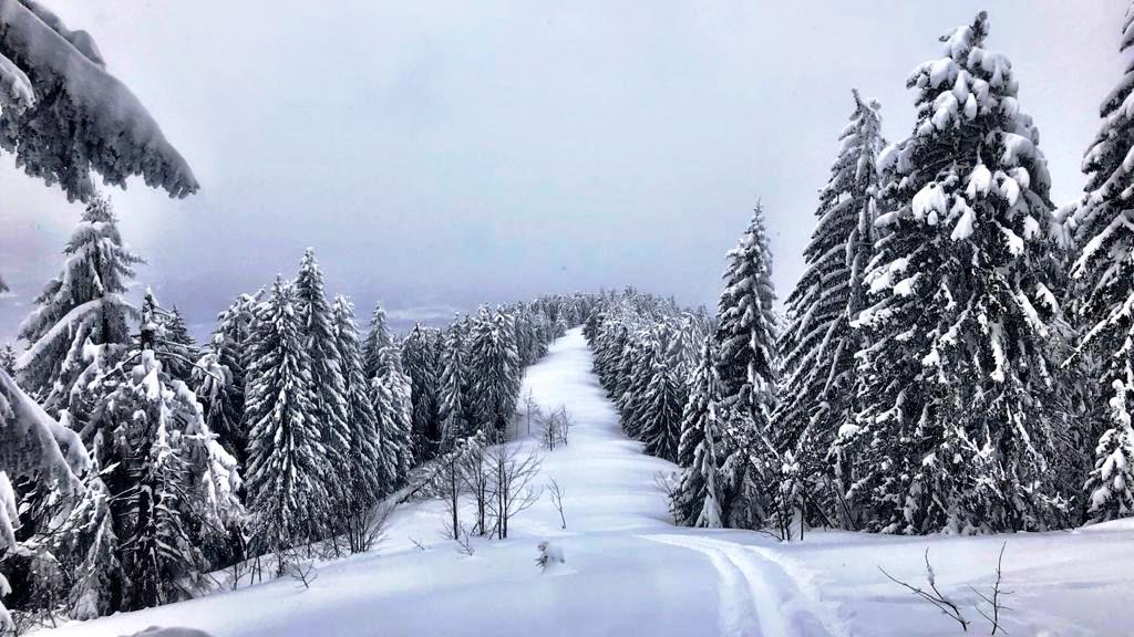 21. März 2021 Tiefschneetour auf den Schlenken