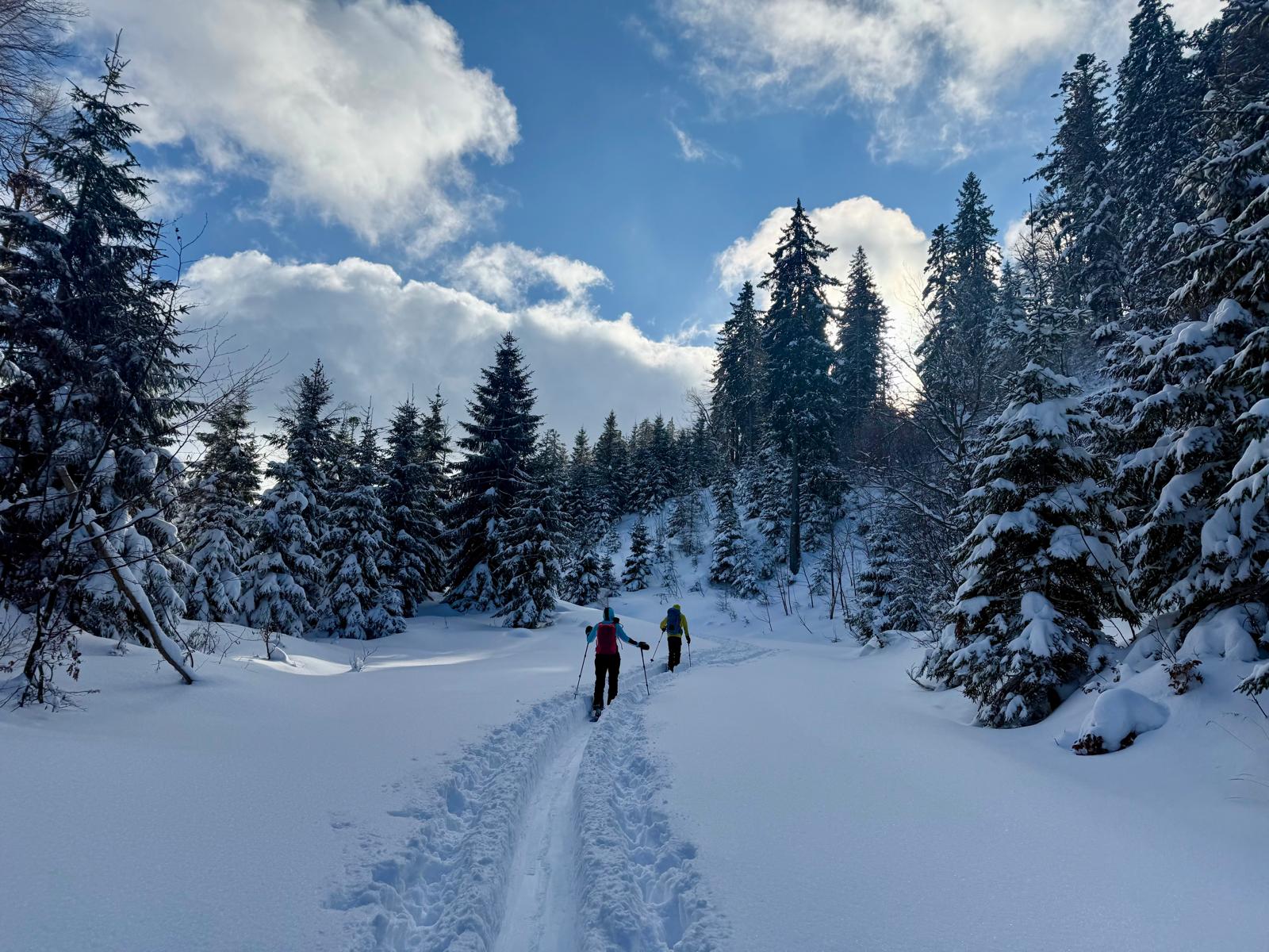 10. Jänner 2026 - Katrin - Bad Ischl
