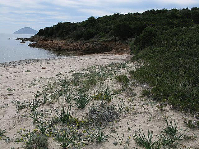 Die Smaragdküste -  Costa Smeralda ist ein Teil der nordöstlichen Küste Sardiniens