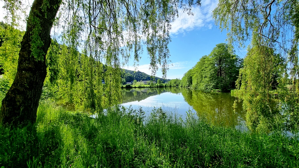 Achleitner Weiher in Schalchen
