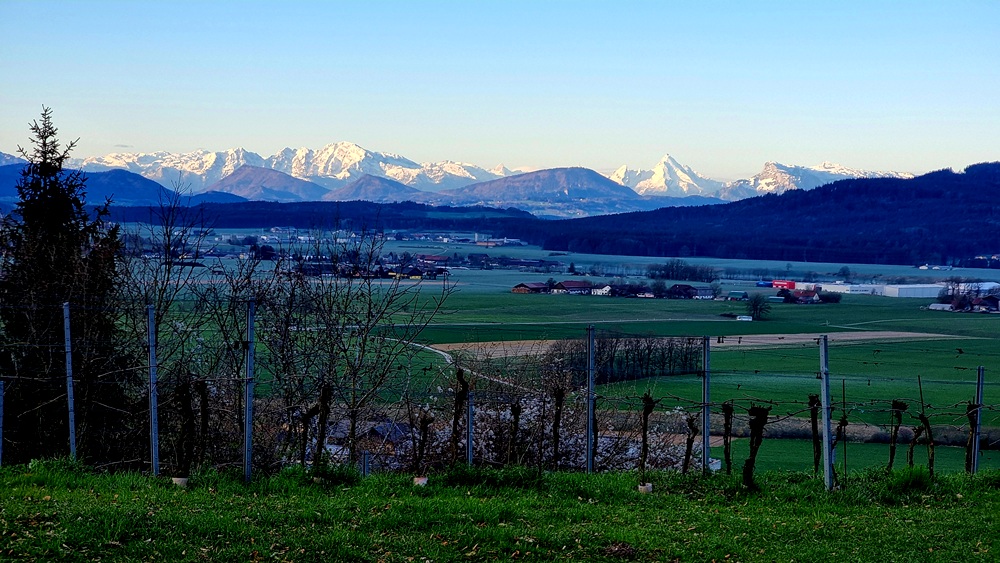 Südblick in die Berchdesgadener Alpen