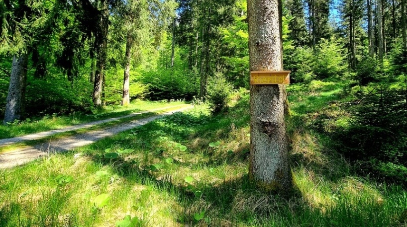 Abwärts durchs Riepltal