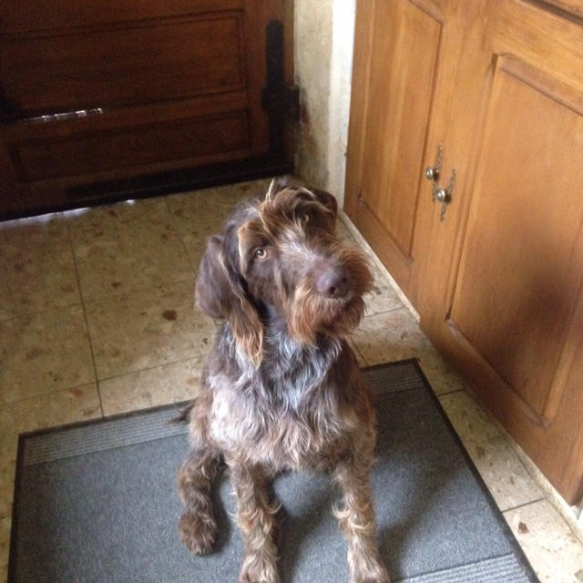        Jumpy 
soeur de Jason 