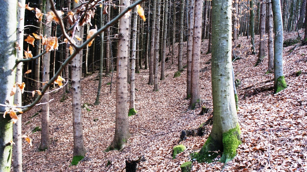 Doppelwall - Nordwestseite