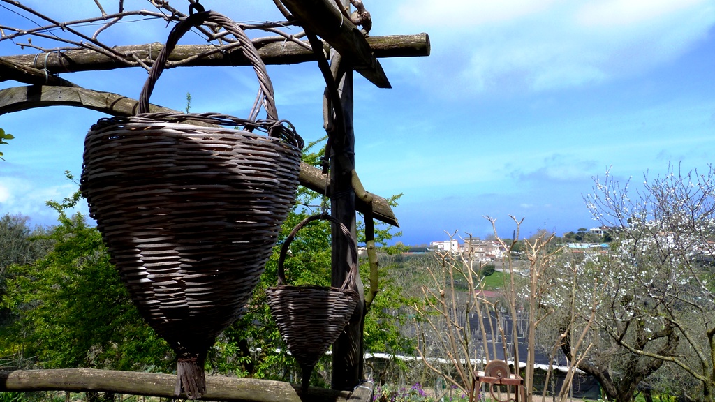 Unter der Laube genießen wir den "Limoncello" den typischen Zitronenlikör der Region