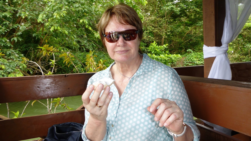 Die frische Kokosnuss schmeckt herrlich !