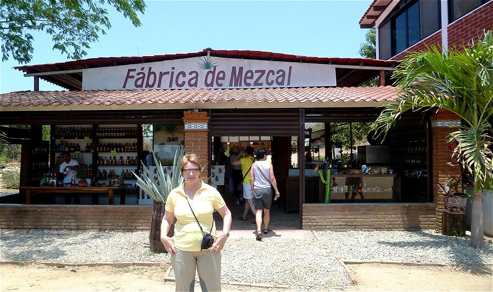 Wir besuchen eine Meskal-Brennerei