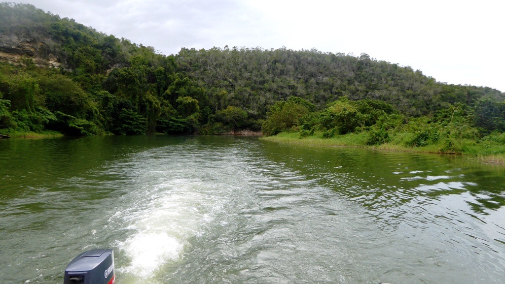 Regenwald säumt beide Ufer des Flusses