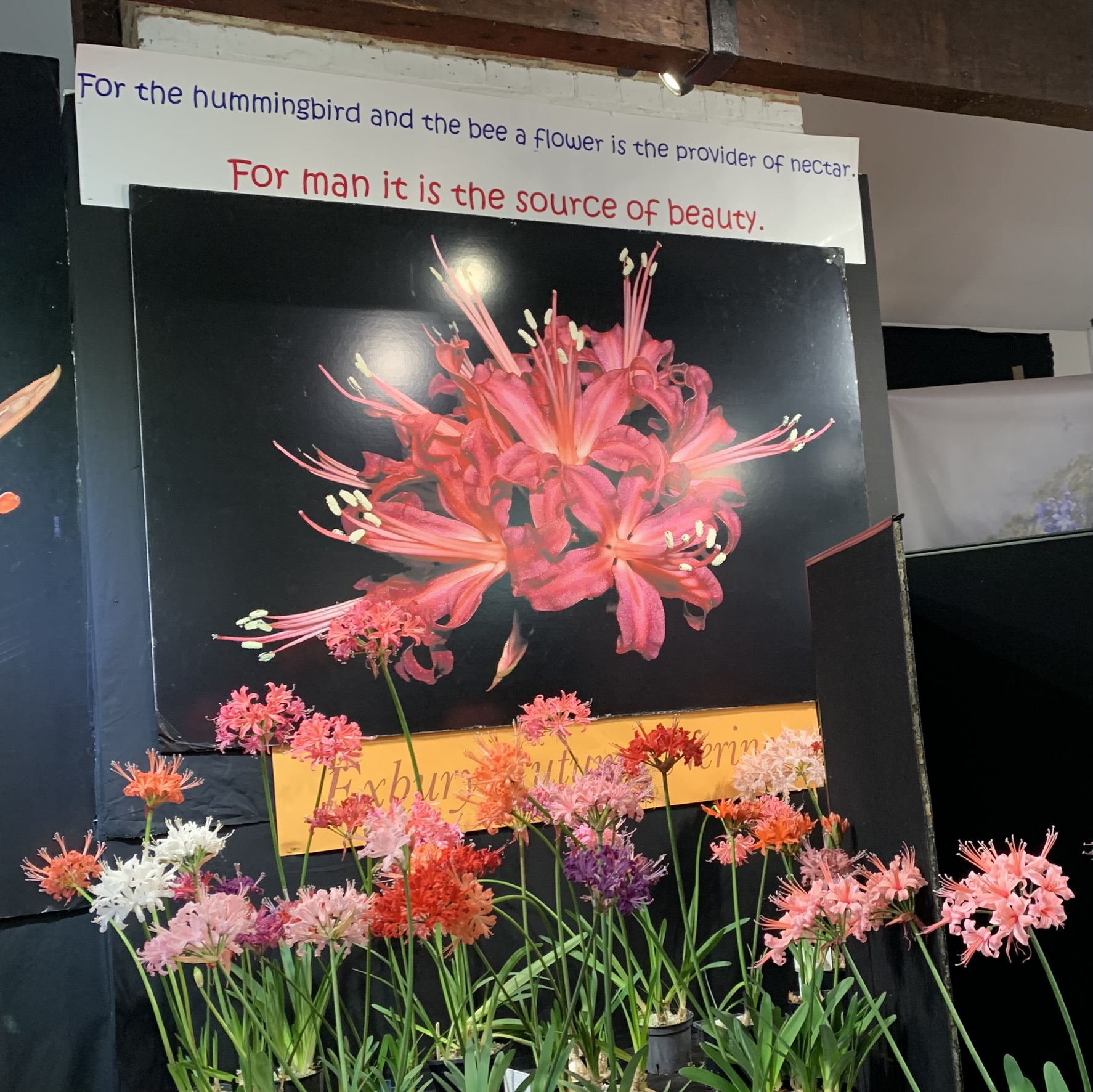 "For the hummingbird and the bee a flower is the provider of nectar.
For man it is the source of beauty."
Indeed.