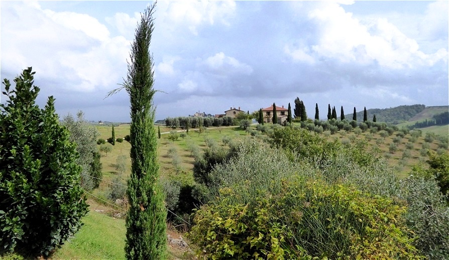 Auf dem Weg nach San Gimignano