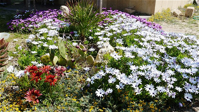 "Blühender Hausgarten"