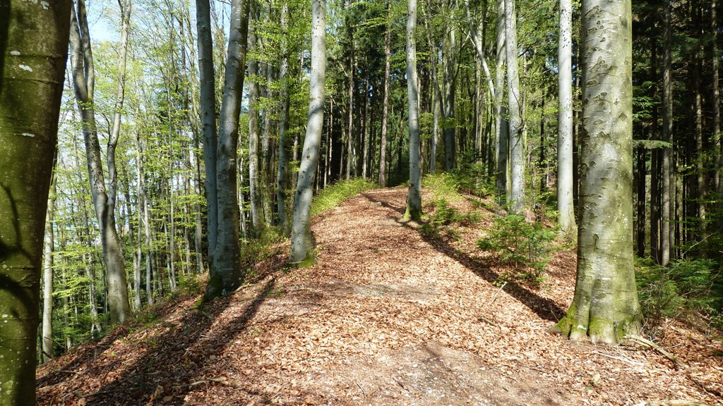 Aufwärts auf dem Bergkamm