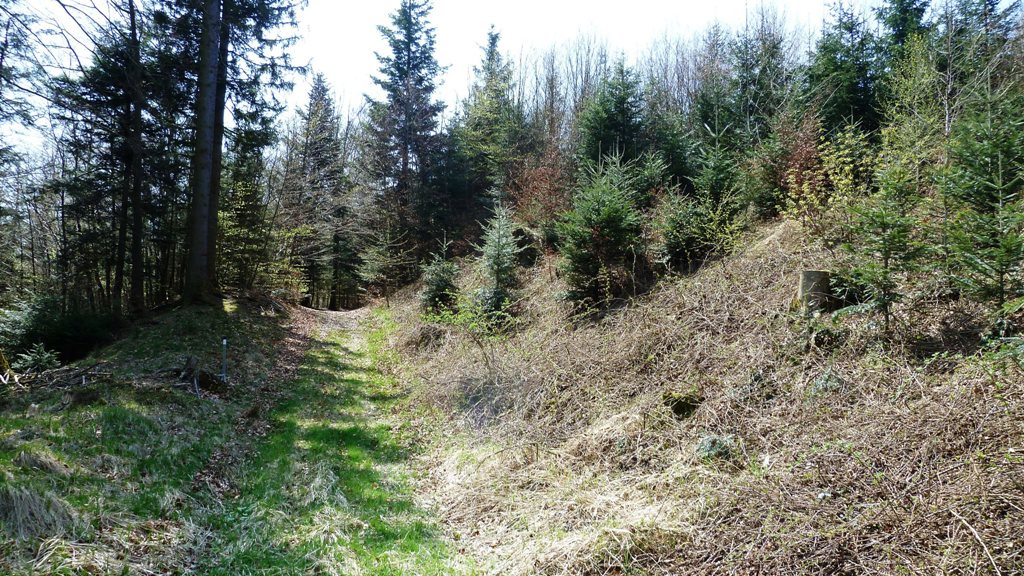 Ostseite - Doppelwall und Graben