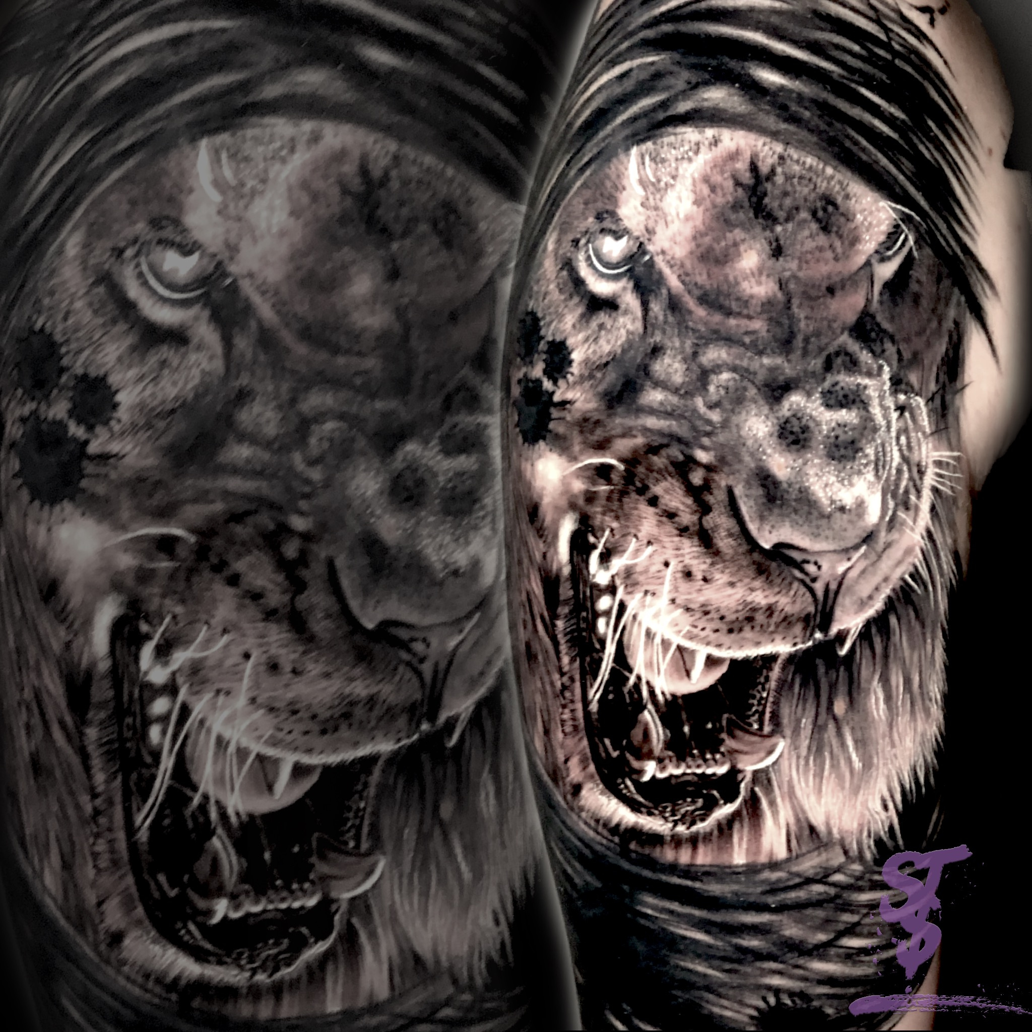 Lion Löwe angry böse Tattoo