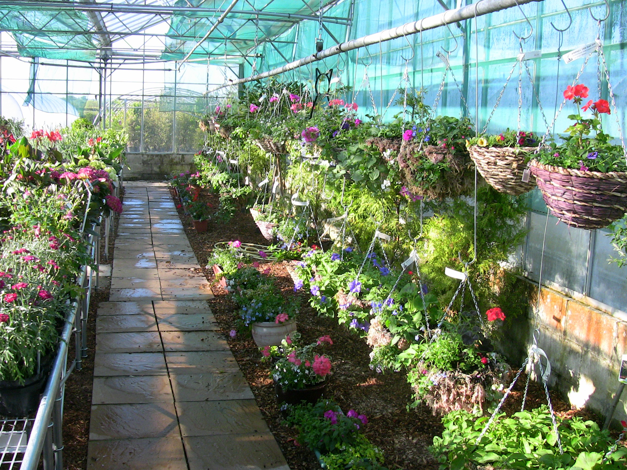 Windmill View Plant Centre Home