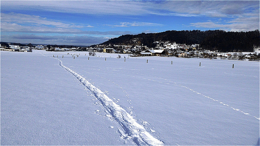 Schneeschuhspuren über Friedburg