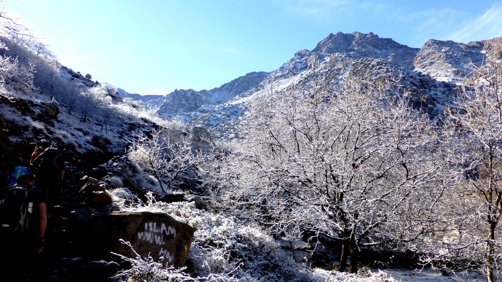 Über Nacht ein Hauch von Schnee