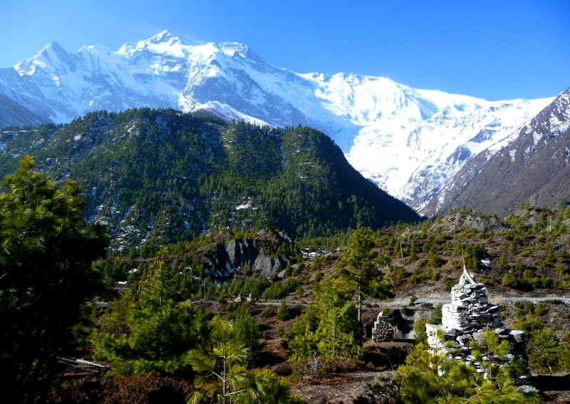 Herrliche Landschaft