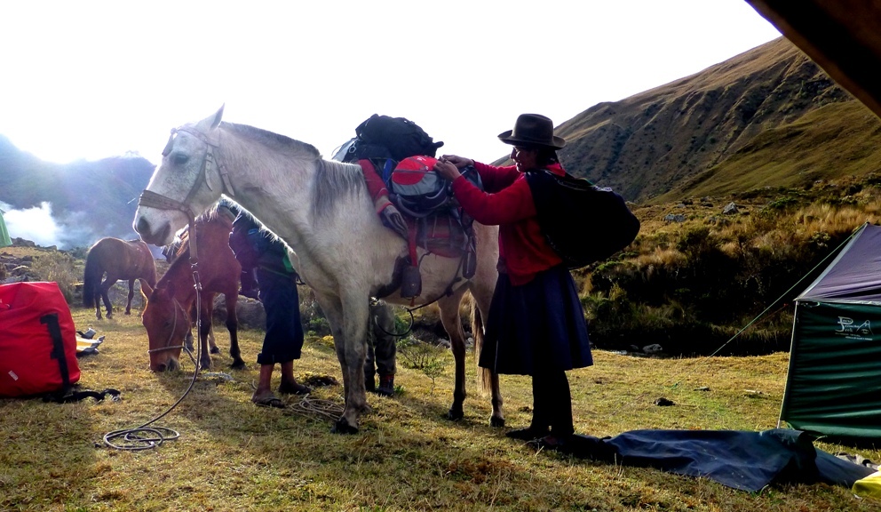 Packtiere werden beladen