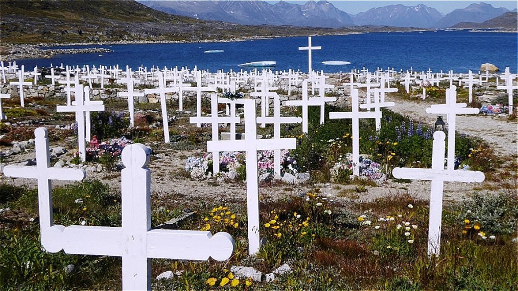 Einheitliches Bild - ein "Wald" aus weißen Kreuzen