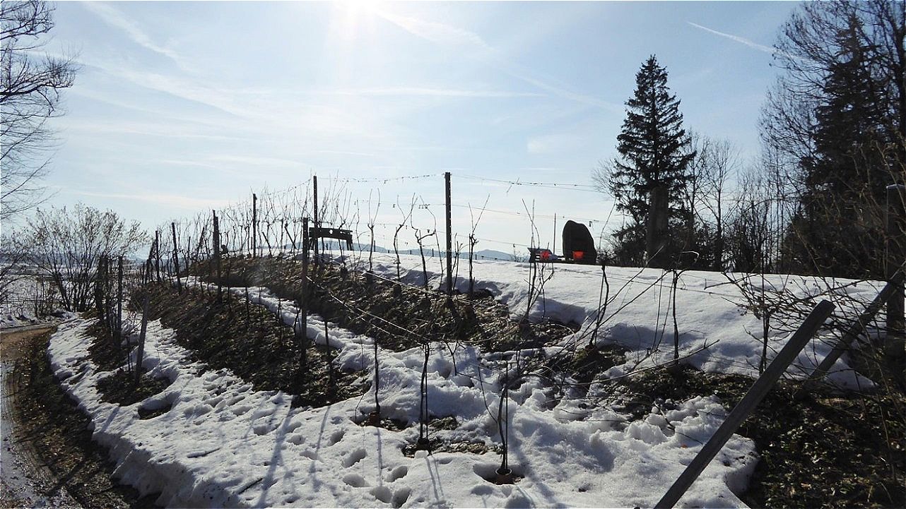 Auf der Ostseite liegt noch Schnee