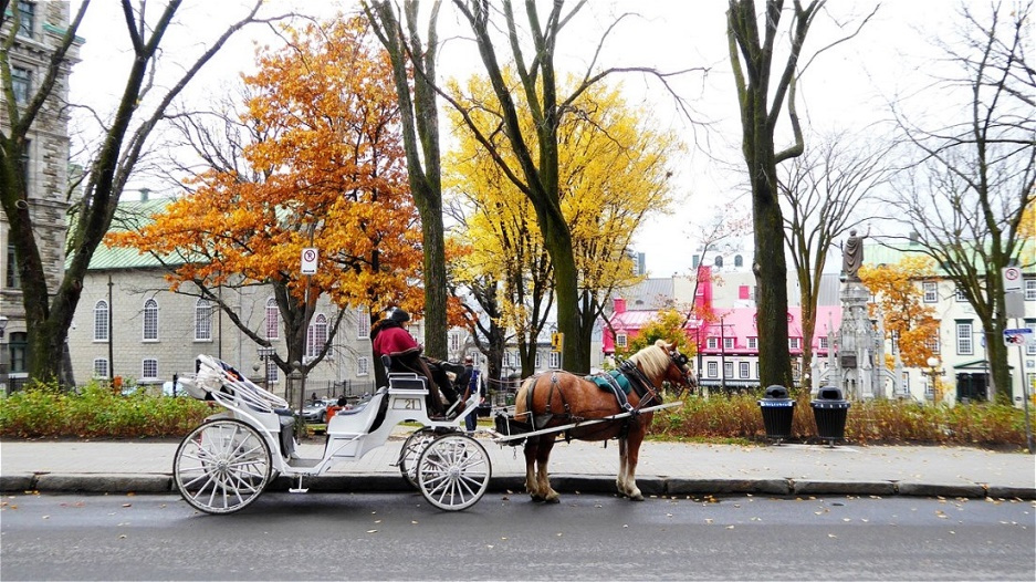 Unterwegs in der Oberstadt