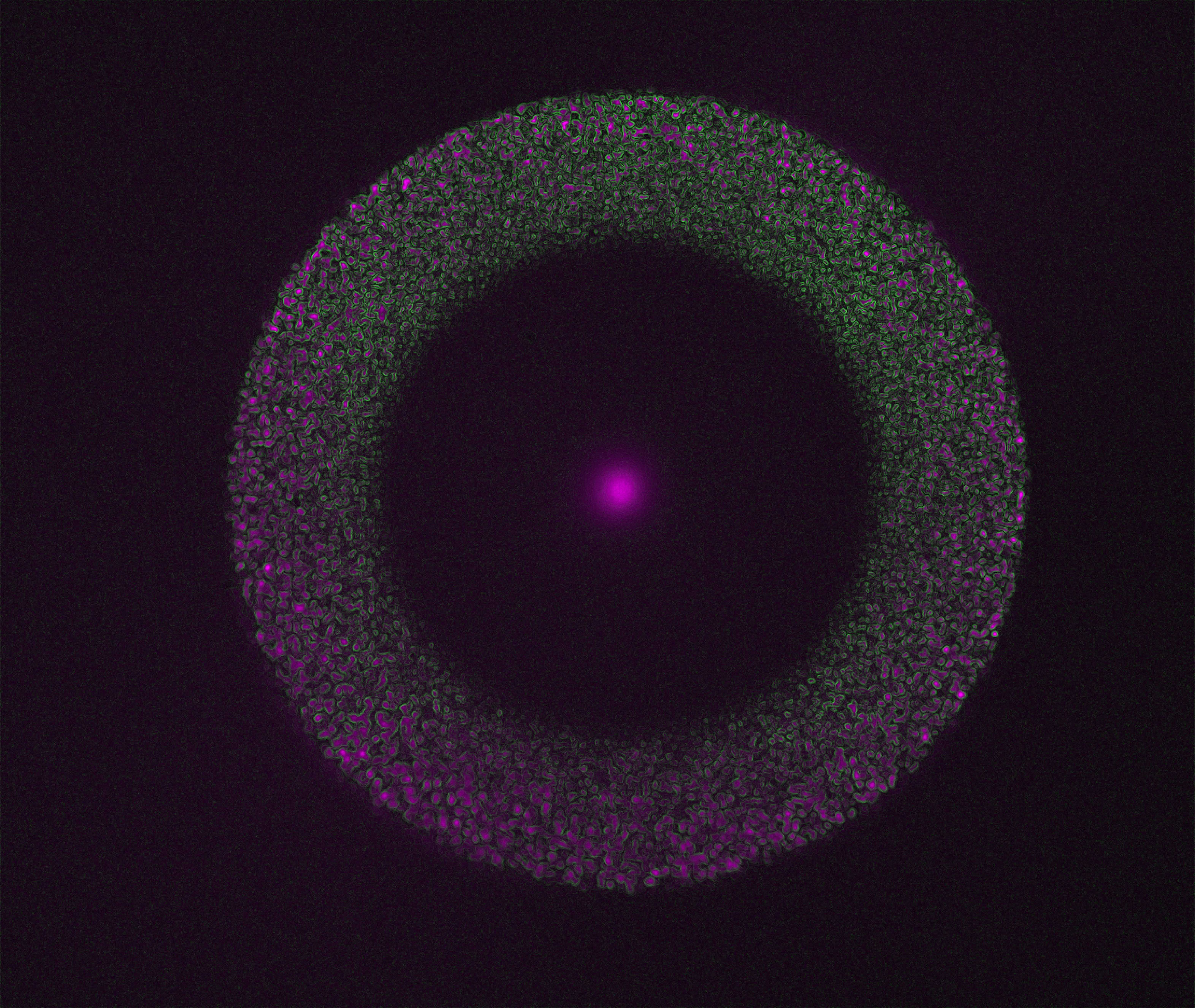 Rapid cooling of nematic liquid crystal