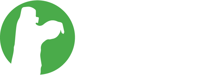 Metalização Triunfo