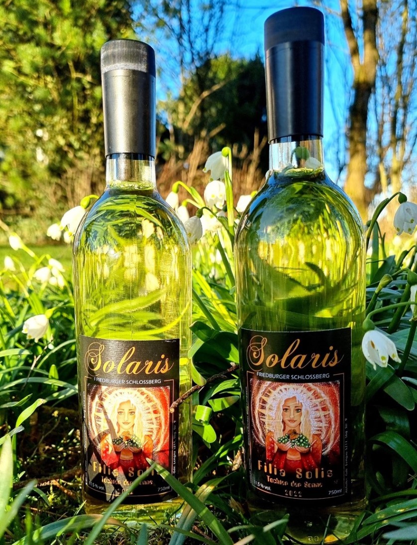 Abgefüllter Wein - Jahrgang 2022