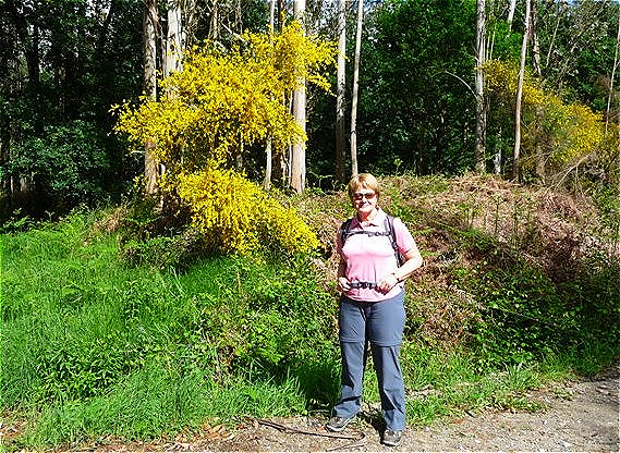 Kurz vor dem "Monte do Gozo" - dem Berg der Freude