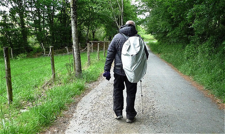 Unrunde Gangart. Vom langen Weg schon etwas gezeichnet !