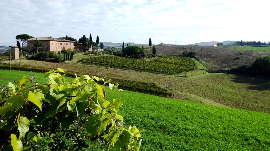 Weingüter begleiten uns auf dem Weg
