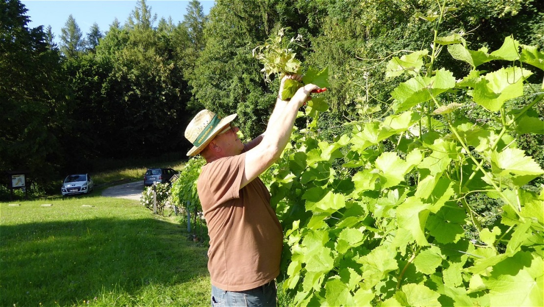 Herbert beim Einkürzen