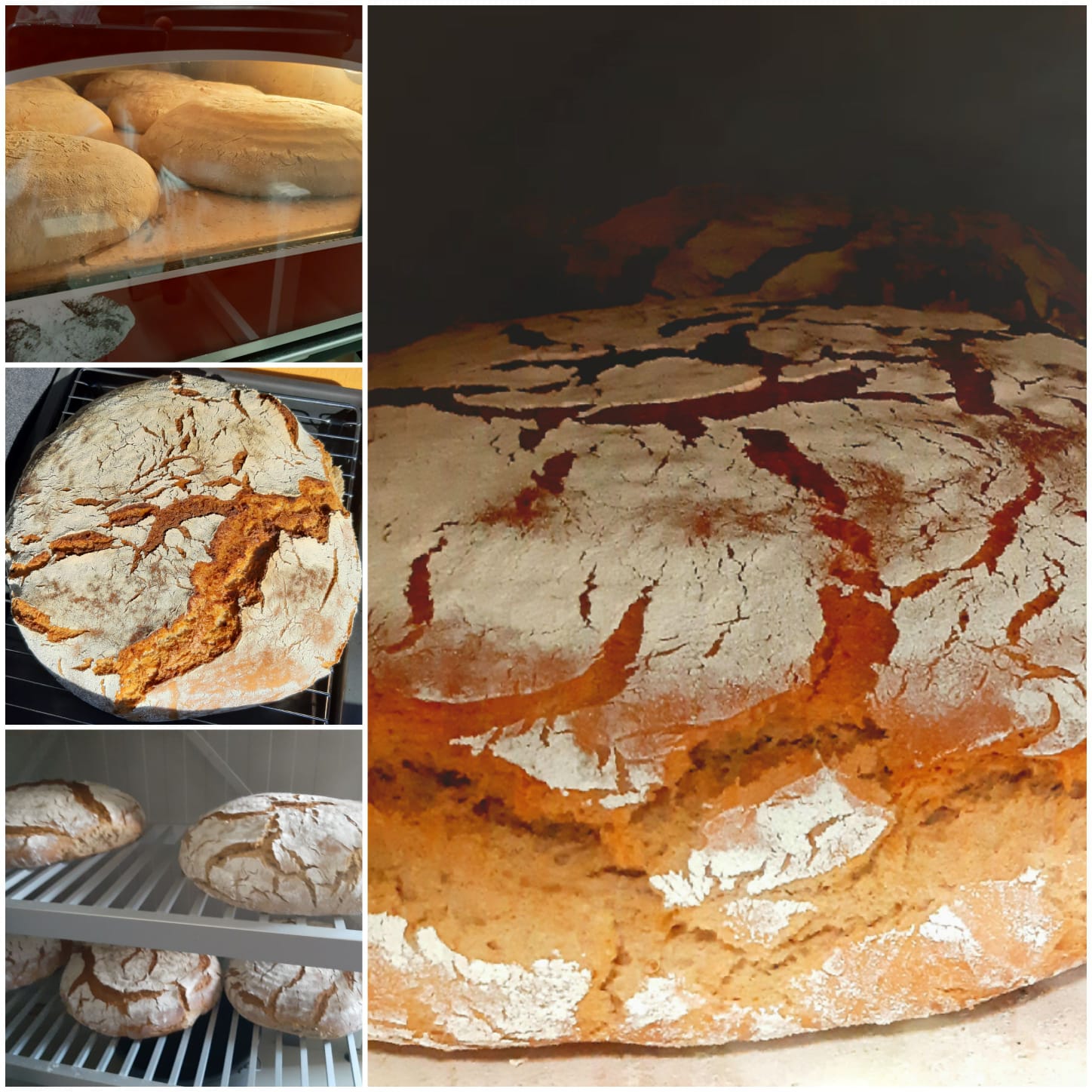 Frisches selbstgebackenes Brot