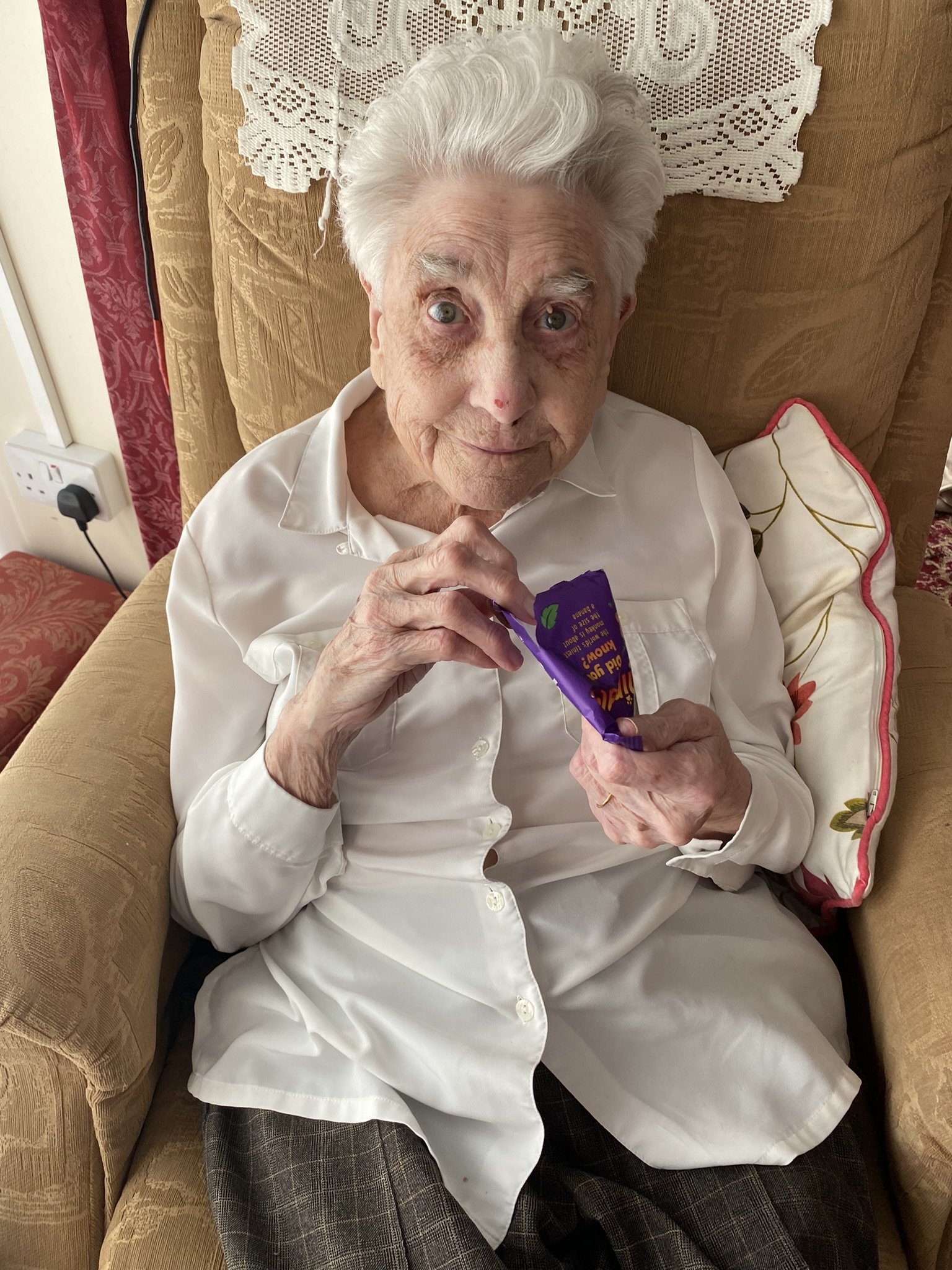 Safari Themed Treats