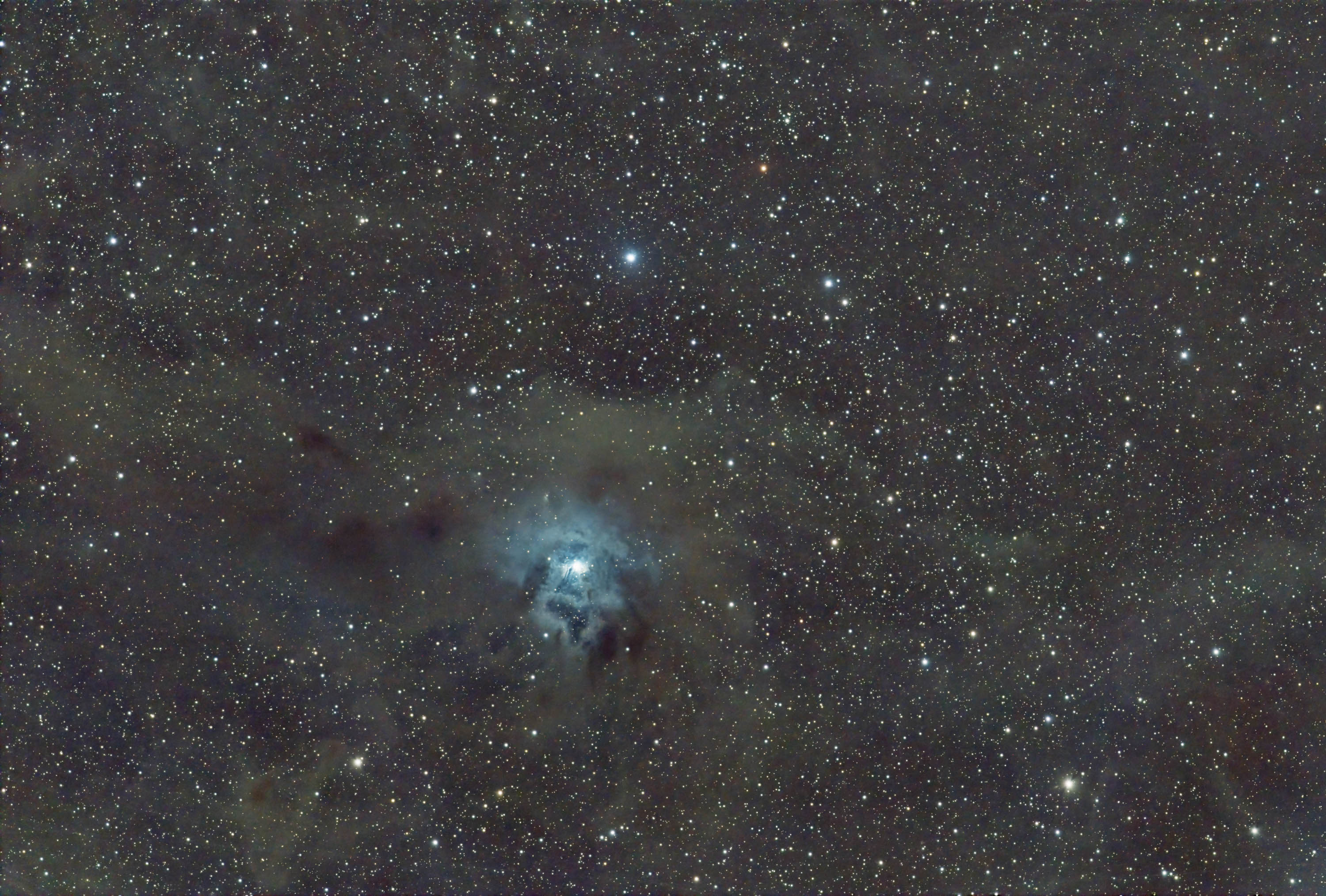 NGC 7023 Iris Nebula, Cepheus
29.und 30.01.2025, 2h15' (je15')
Nikon 600mm f/4 + 1.4 TC (840mm f/5.6) ISO 800