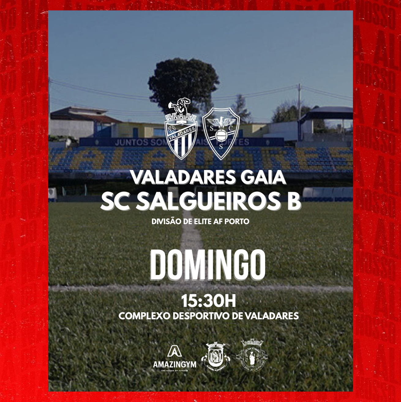 Equipa B - AF Porto Divisão de Elite 
Série 2 25/26 - Campeonato  - Jornada 18
Valadares Gaia vs SC Salgueiros
Domingo 22 de Fevereiro às 15h30
Complexo Desportivo de Valadares