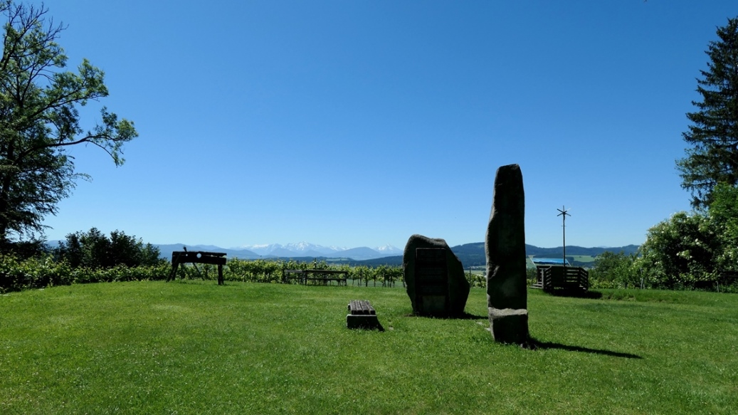 2020_06_12  Pflege des Weingartens