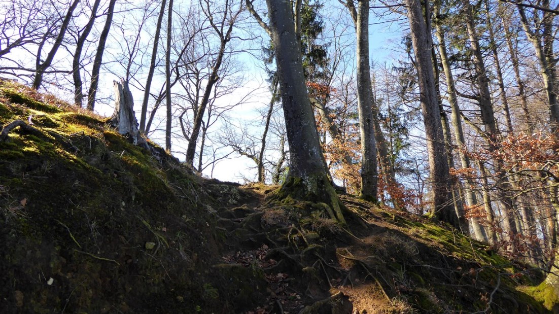 Kurz vor dem Brgrücken