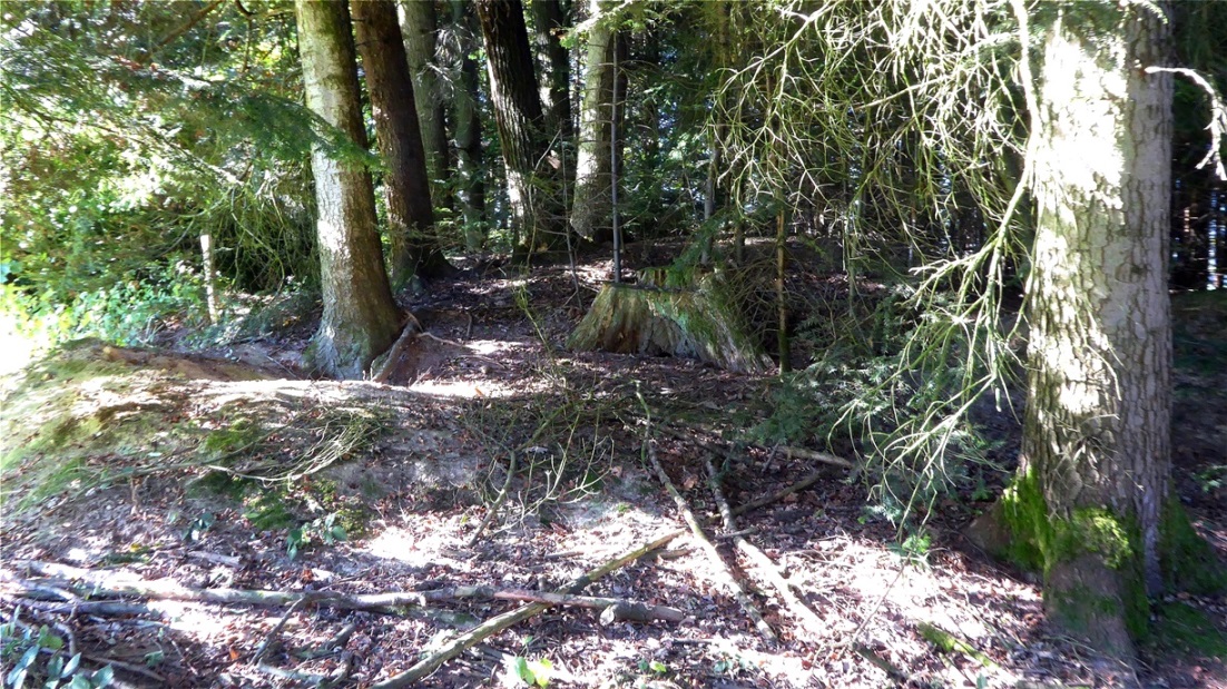 Mystischer Ort - Galgenholz