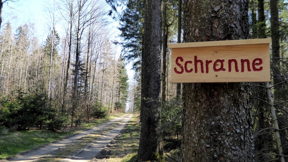 Forststraße zur Schranne 