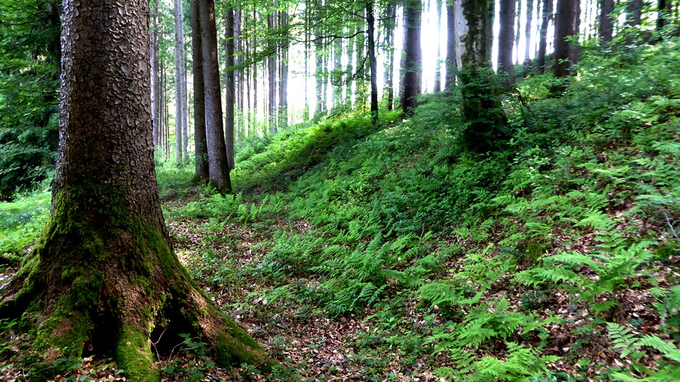 Im nördlichen Graben