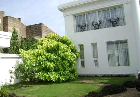 https://0501.nccdn.net/4_2/000/000/03f/ac7/picture5.jpg