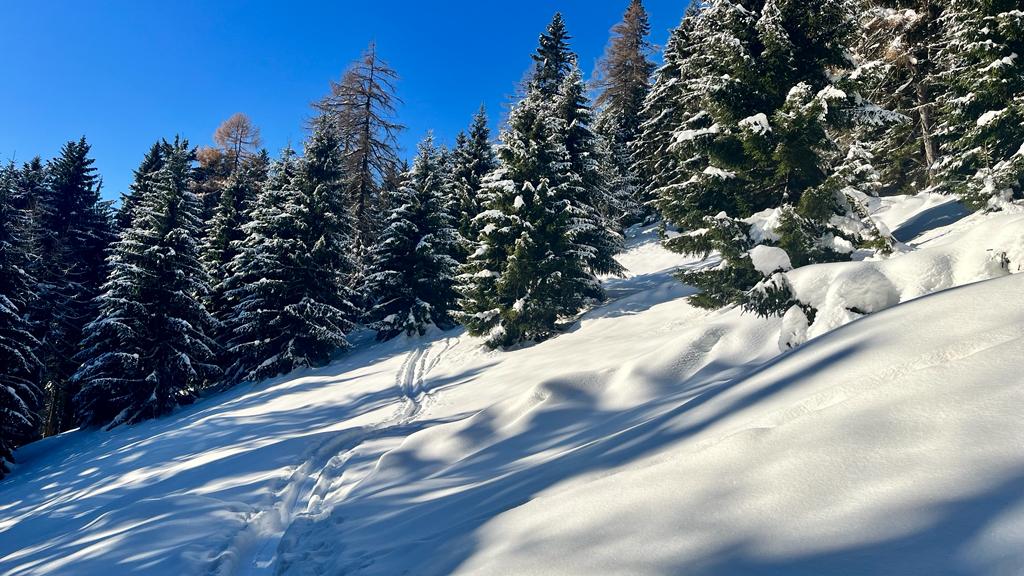 7. Dezember 2023 -Spielberg am Nachmittag