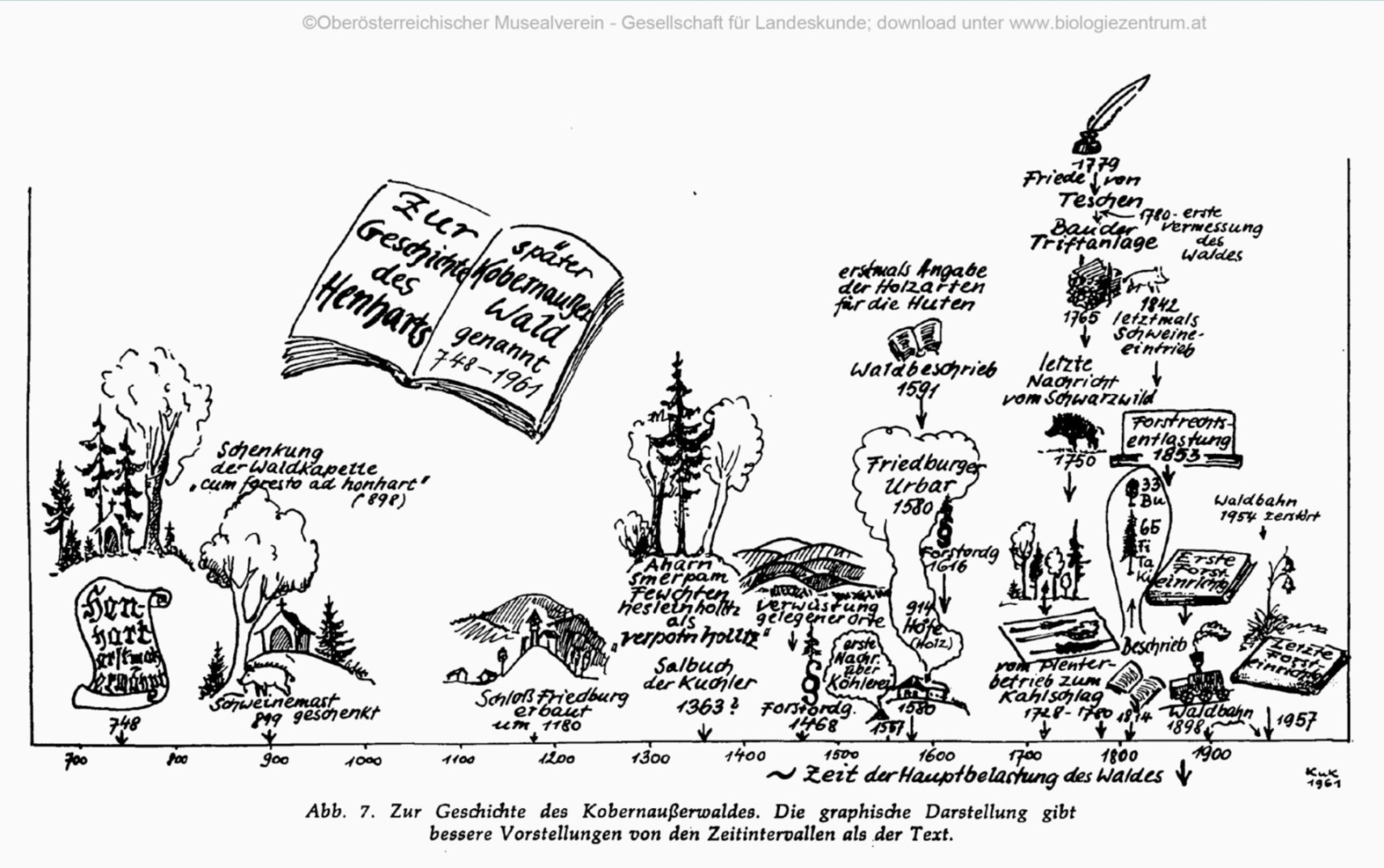 Geschichte des Waldes - Grafische Darstellung